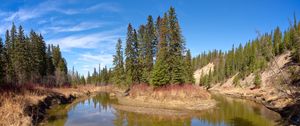 Preview wallpaper pond, island, trees, landscape