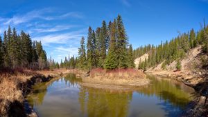 Preview wallpaper pond, island, trees, landscape