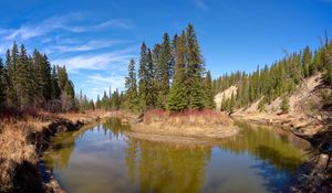 Preview wallpaper pond, island, trees, landscape