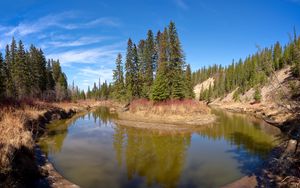 Preview wallpaper pond, island, trees, landscape