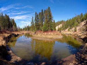 Preview wallpaper pond, island, trees, landscape