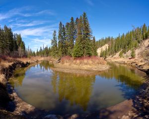 Preview wallpaper pond, island, trees, landscape