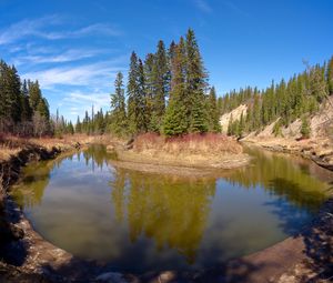 Preview wallpaper pond, island, trees, landscape