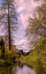 Preview wallpaper pond, landscape, trees, nature