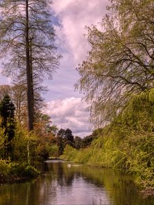 Preview wallpaper pond, landscape, trees, nature