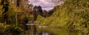 Preview wallpaper pond, landscape, trees, nature