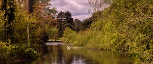 Preview wallpaper pond, landscape, trees, nature