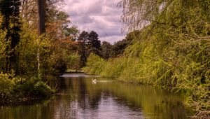 Preview wallpaper pond, landscape, trees, nature