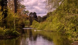 Preview wallpaper pond, landscape, trees, nature