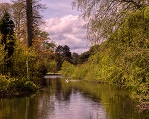 Preview wallpaper pond, landscape, trees, nature