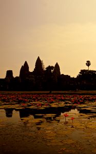 Preview wallpaper pond, lilies, panorama, cambodia