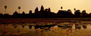 Preview wallpaper pond, lilies, panorama, cambodia