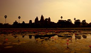 Preview wallpaper pond, lilies, panorama, cambodia