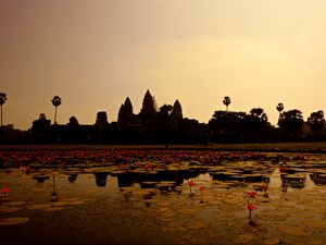 Preview wallpaper pond, lilies, panorama, cambodia