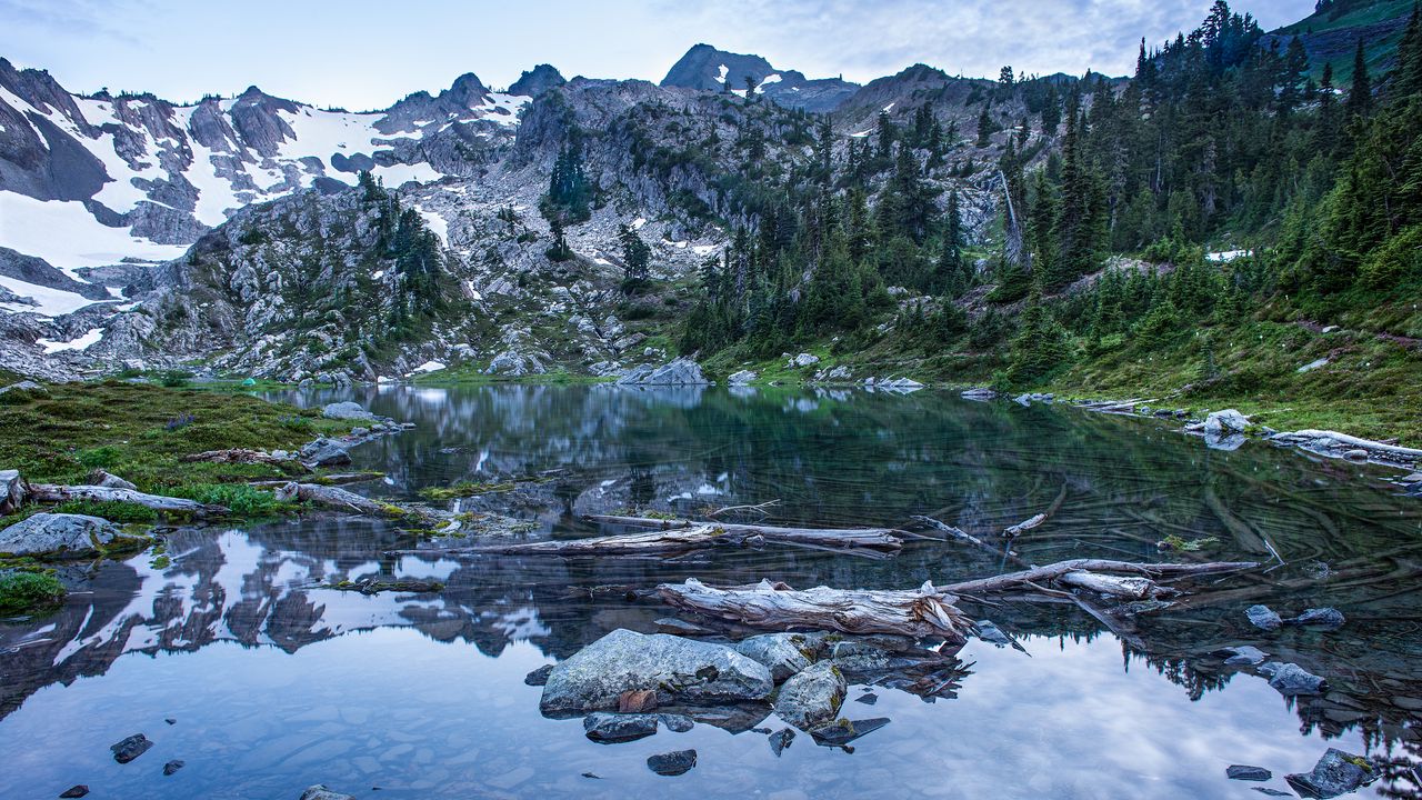 Wallpaper pond, logs, stones, mountains, trees