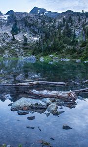 Preview wallpaper pond, logs, stones, mountains, trees