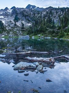 Preview wallpaper pond, logs, stones, mountains, trees