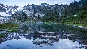 Preview wallpaper pond, logs, stones, mountains, trees