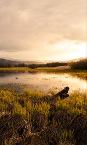 Preview wallpaper pond, meadow, grass, mountains, landscape