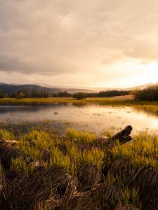 Preview wallpaper pond, meadow, grass, mountains, landscape