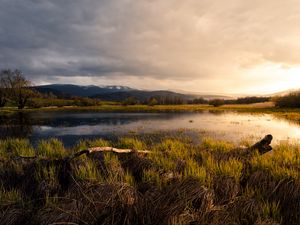 Preview wallpaper pond, meadow, grass, mountains, landscape