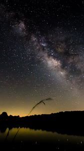 Preview wallpaper pond, night, milky way, trees