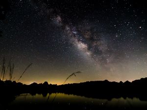 Preview wallpaper pond, night, milky way, trees