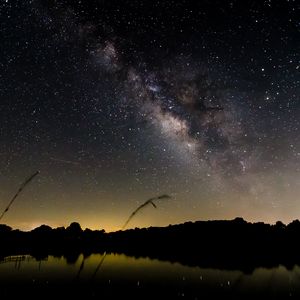 Preview wallpaper pond, night, milky way, trees