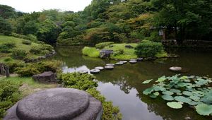 Preview wallpaper pond, path, stone, stubs, garden, circles, greens, cloudy