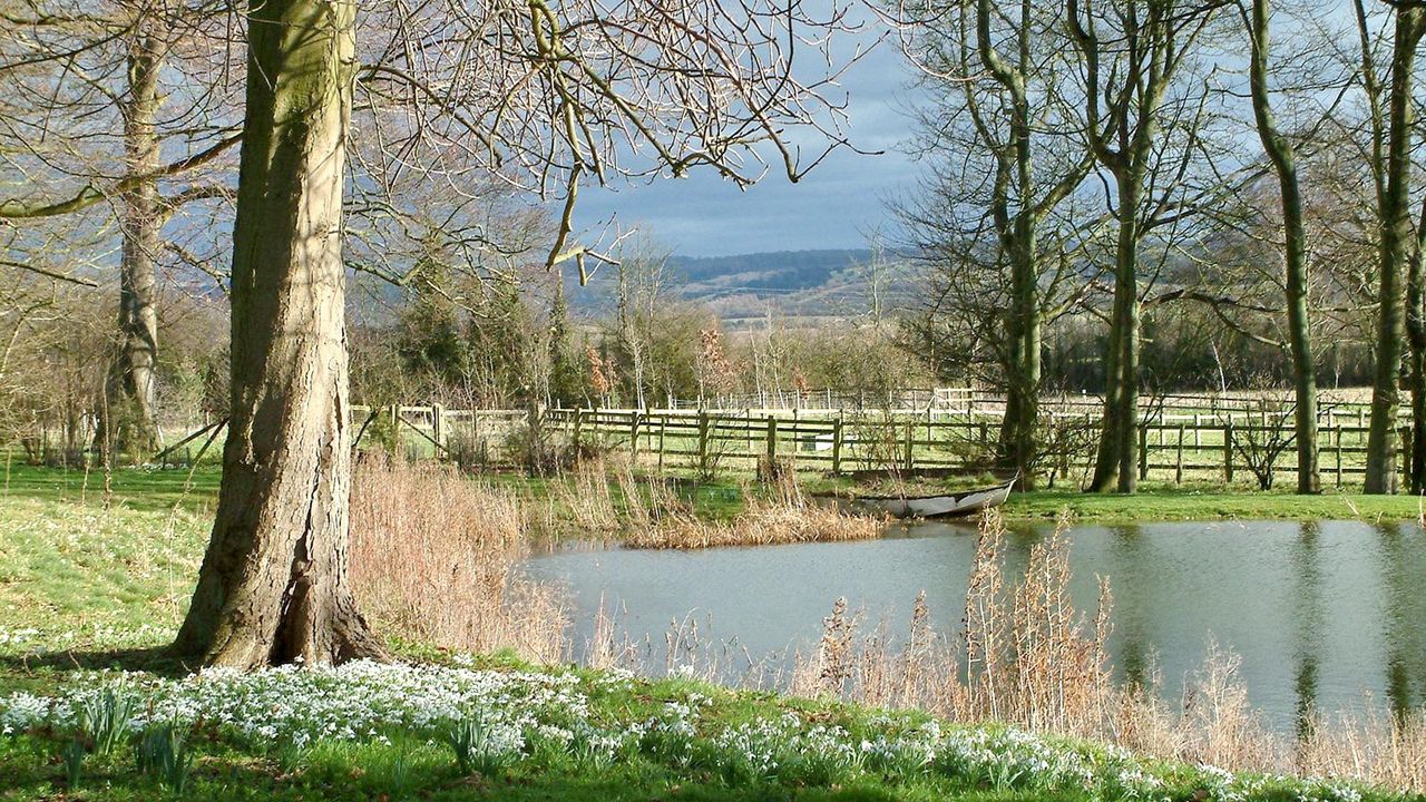 Wallpaper pond, river, fence, grass, trees