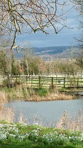 Preview wallpaper pond, river, fence, grass, trees