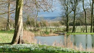 Preview wallpaper pond, river, fence, grass, trees