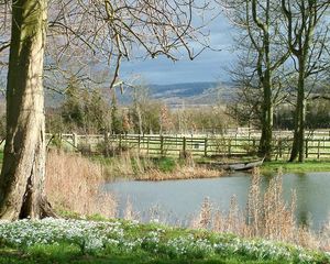 Preview wallpaper pond, river, fence, grass, trees