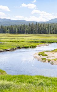 Preview wallpaper pond, river, meadow, grass, trees