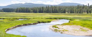 Preview wallpaper pond, river, meadow, grass, trees