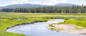 Preview wallpaper pond, river, meadow, grass, trees