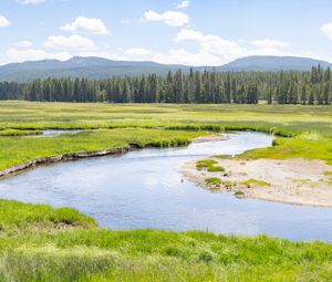 Preview wallpaper pond, river, meadow, grass, trees