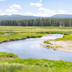 Preview wallpaper pond, river, meadow, grass, trees