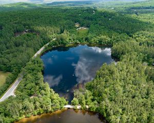 Preview wallpaper pond, road, trees, nature, aerial view