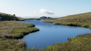 Preview wallpaper pond, shore, grass, sky, nature