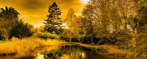 Preview wallpaper pond, shore, trees, reflection, nature