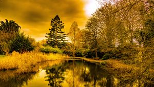 Preview wallpaper pond, shore, trees, reflection, nature