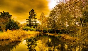 Preview wallpaper pond, shore, trees, reflection, nature
