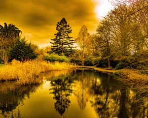 Preview wallpaper pond, shore, trees, reflection, nature