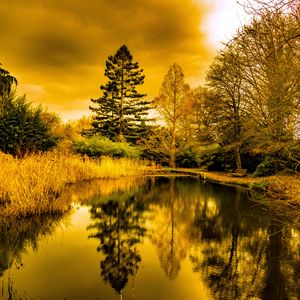 Preview wallpaper pond, shore, trees, reflection, nature