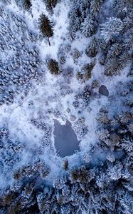 Preview wallpaper pond, snow, trees, aerial view