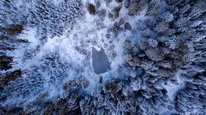 Preview wallpaper pond, snow, trees, aerial view