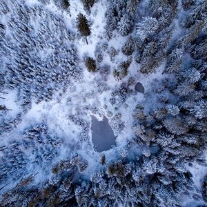 Preview wallpaper pond, snow, trees, aerial view