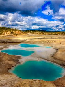 Preview wallpaper pond, steppe, trees, nature