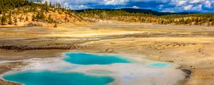 Preview wallpaper pond, steppe, trees, nature